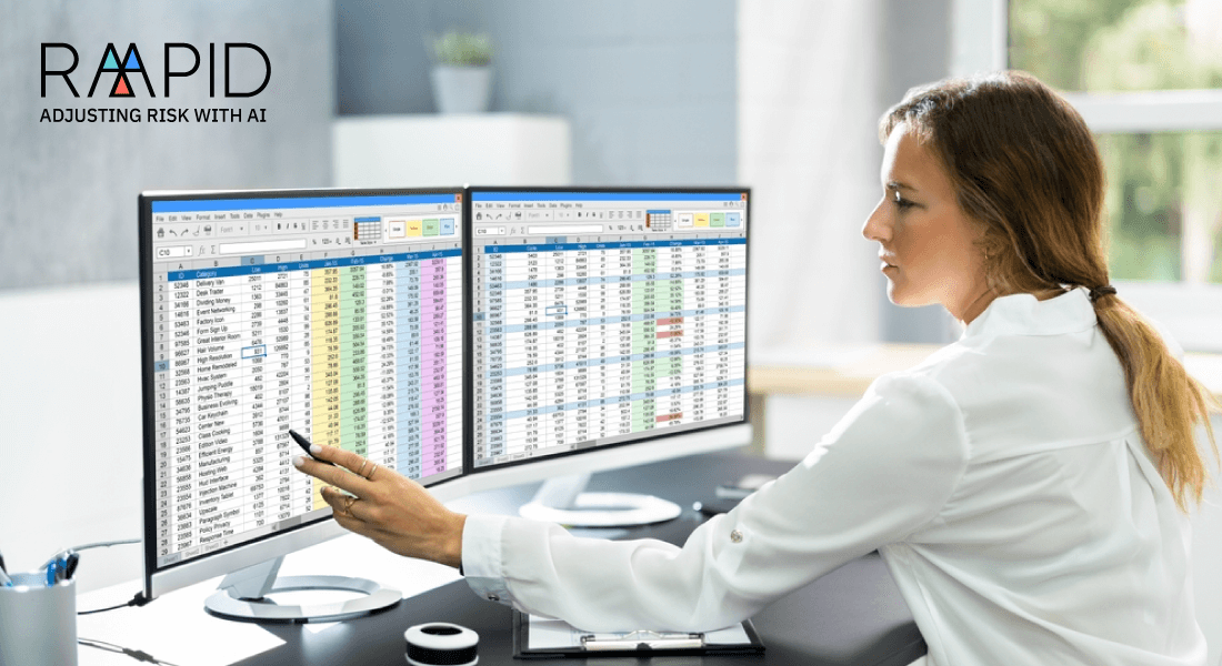 Health Plans Audit Risk