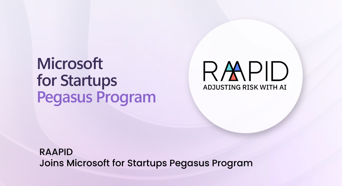 MICROSOFT PEGASUS PROGRAM